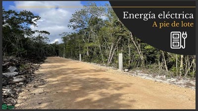 /international/mx/av-10-norte-s-n-tulum-tulum-quintana-roo-77780-tulum-quintana-roo-310102160782/