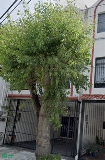 /international/mx/de-arriba-208-obispado-monterrey-nuevo-leon-monterrey-nuevo-leon-310108486517/