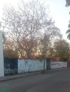 /international/mx/juan-sarabia-97-centro-cuautla-morelos-cuautla-morelos-310105923413/