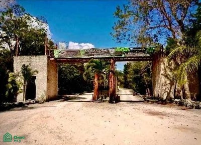 /international/mx/aldea-coral-predio-azteca-chemuyil-lote-014-manzana-012-ciudad-chemuyil-tulum-quintana-roo-tulum-quintana-roo-310093234225/?lang=de