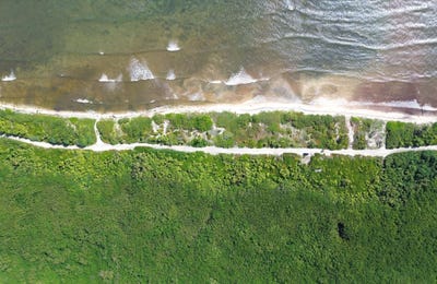 /international/mx/g7f2-hf-othon-p-blanco-quintana-roo-310107523973/