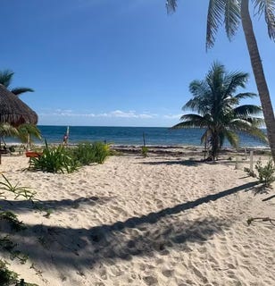 /international/mx/costera-norte-sm-10-mz-26-lt-1-77580-puerto-morelos-q-r-mexico-puerto-morelos-quintana-roo-310108522287/?lang=id