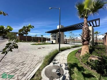 /international/mx/retorno-gala-parque-lucerna-gran-cascatta-16-lomas-de-angelopolis-san-andres-cholula-puebla-san-andres-cholula-puebla-310107220660/
