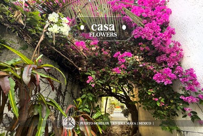 /international/mx/puerto-morelos-puerto-morelos-quintana-roo-310108563547/?lang=id