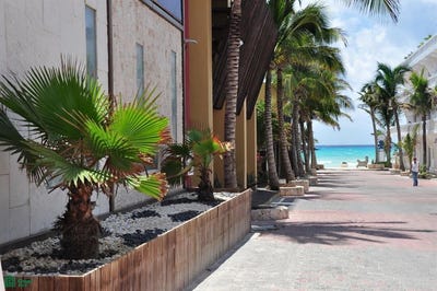 /international/mx/8-n-a-playa-del-carmen-centro-playa-del-carmen-quintana-roo-77710-quintana-roo-310103749047/