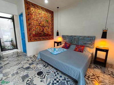 /international/mx/calle-51-530c-barrio-de-santiago-merida-centro-merida-yucatan-merida-yucatan-310099970383/?lang=zh-cn