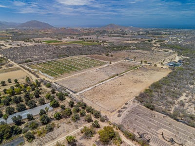 /international/mx/san-simon-developers-dream-lot-pacific-mexico-city-310102962382/