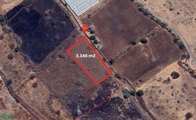 /international/mx/carretera-acatlan-de-juarez-sahuayo-morelos-0-san-pedro-tesistan-jocotepec-jalisco-jocotepec-jalisco-310108917171/?lang=de