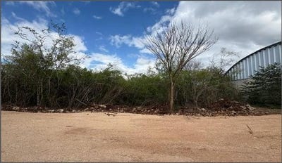/international/mx/yucatan-conkal-conkal-yucatan-310108644452/?lang=pt