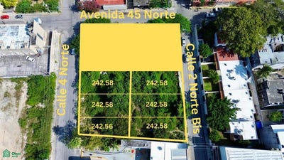 /international/mx/2-norte-bis-1-playa-del-carmen-centro-solidaridad-quintana-roo-playa-del-carmen-quintana-roo-310104531670/