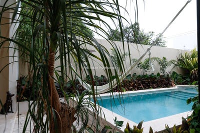 /international/mx/centro-merida-yucatan-310108453652/