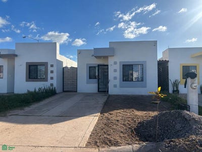 /international/mx/betica-1356-las-flores-ahome-sinaloa-los-mochis-sinaloa-310107647025/