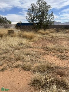/international/mx/calle-monte-perdido-0-fraccionamiento-quintas-carolinas-chihuahua-chihuahua-chihuahua-chihuahua-310108855964/?lang=pt