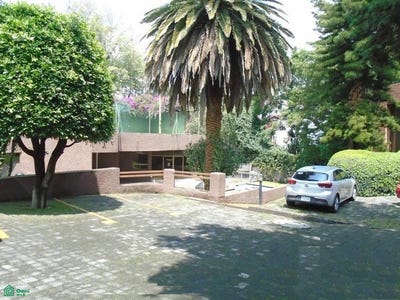 /international/mx/cda-de-nicolas-bravo-49-san-jeronimo-lidice-la-magdalena-contreras-ciudad-de-mexico-ciudad-de-mexico-mexico-city-310100991964/