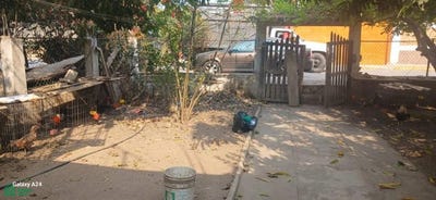 /international/mx/calle-principal-sn-coacoyul-zihuatanejo-de-azueta-guerrero-zihuatanejo-de-azueta-guerrero-310101044820/?lang=zh-tw