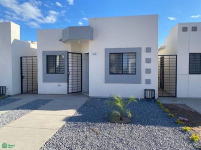 /international/mx/circuito-toledo-norte-1240-las-flores-ahome-sinaloa-los-mochis-sinaloa-310108246751/