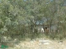 /international/mx/carretera-a-colombia-km-7-2-0-andres-caballero-moreno-agropecuaria-general-escobedo-nuevo-leon-ciudad-general-escobedo-nuevo-leon-310106017575/