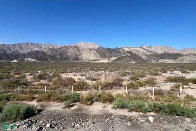 /international/mx/calle-meros-0-fraccionamiento-rio-hardy-mexicali-baja-california-mexicali-baja-california-310108432413/