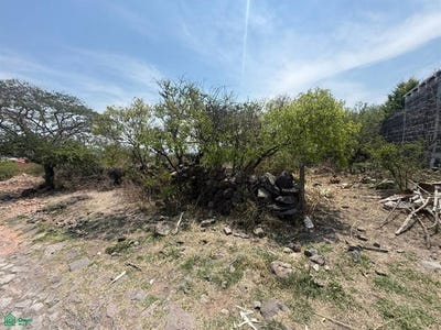 /international/mx/parcela-no-405-zona-1-p-1-1-el-jazmin-san-juan-del-rio-queretaro-san-juan-del-rio-queretaro-310107815196/