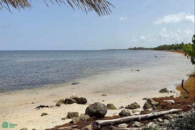 /international/mx/carretera-a-tampalan-0-othon-p-blanco-quintana-roo-othon-p-blanco-quintana-roo-310108310152/