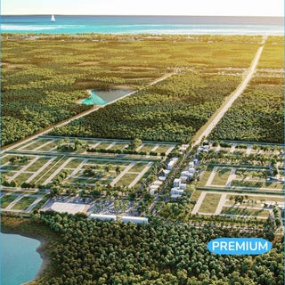 /international/mx/quintana-roo-benito-juarez-cancun-puerto-morelos-puerto-morelos-puerto-morelos-quintana-roo-310100886352/