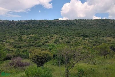 /international/mx/lagunita-0-san-miguel-de-allende-guanajuato-san-miguel-de-allende-guanajuato-310108312143/