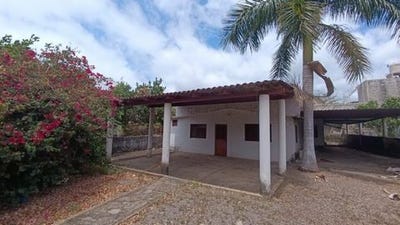 /international/mx/nayarit-nayarit-310108762293/?lang=id