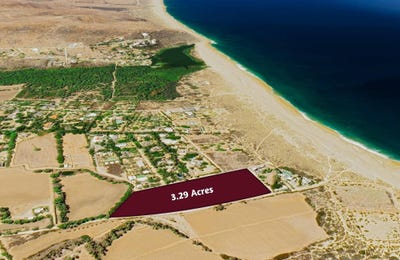 /international/mx/cqw5-8p-la-cachora-23300-todos-santos-bcs-mexico-todos-santos-baja-california-sur-310101083051/