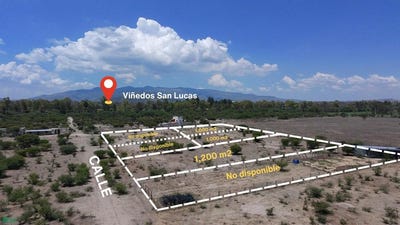 /international/mx/carretera-san-miguel-de-allende-buenavista-0-puente-del-carmen-san-miguel-de-allende-guanajuato-san-miguel-de-allende-guanajuato-310108986800/?lang=zh-cn