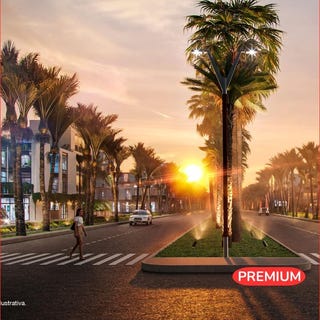 /international/mx/quintana-roo-benito-juarez-cancun-puerto-morelos-puerto-morelos-puerto-morelos-quintana-roo-310100886164/