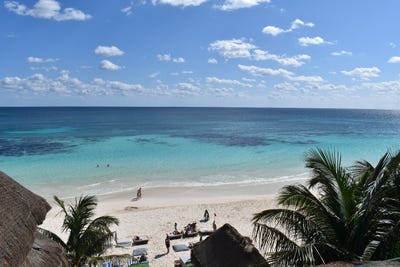 /international/mx/carr-tulum-boca-paila-km-8-3-tulum-quintana-roo-310098390155/