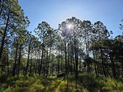 /international/mx/carretera-tapalpa-san-gabriel-0-punta-de-agua-tapalpa-jalisco-tapalpa-jalisco-310107424870/