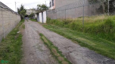 /international/mx/cerrada-cesar-camacho-quiroz-y-san-angelin-s-n-san-lorenzo-tepaltitlan-centro-toluca-mexico-toluca-de-lerdo-mexico-city-310101356840/
