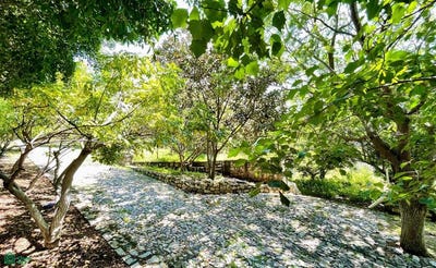 /international/mx/calle-libertad-58-ixtlahuacan-de-los-membrillos-ctro-guadalajara-jalisco-guadalajara-jalisco-310108917147/?lang=th