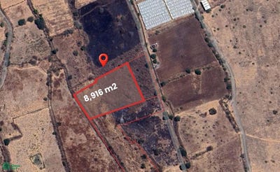 /international/mx/carretera-acatlan-de-juarez-sahuayo-morelos-0-san-pedro-tesistan-jocotepec-jalisco-jocotepec-jalisco-310108917143/?lang=de