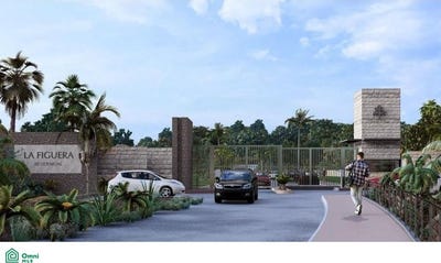 /international/mx/avenida-juan-escutia-0-ejido-higuera-blanca-bahia-de-banderas-nayarit-bahia-de-banderas-nayarit-310108311735/