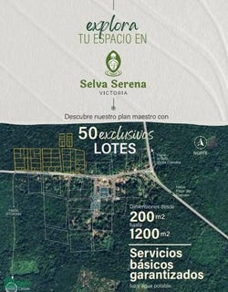 /international/mx/av-victoria-loc-guadalupe-victoria-s-n-benito-juarez-lazaro-cardenas-quintana-roo-lazaro-cardenas-quintana-roo-310101059395/?lang=es