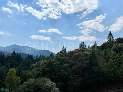 /international/mx/xiante-0-san-miguel-tecpan-jilotzingo-mexico-jilotzingo-mexico-city-310108163743/