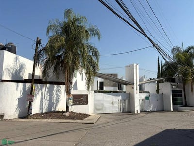 /international/mx/canaveral-69-san-juan-yautepec-morelos-yautepec-morelos-310106081407/