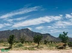 /international/mx/la-magdalena-carretera-chihuahua-juarez-sn-miguel-ahumada-ahumada-chihuahua-ahumada-chihuahua-310107976436/