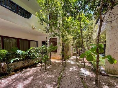 /international/mx/quintana-roo-quintana-roo-310108404986/