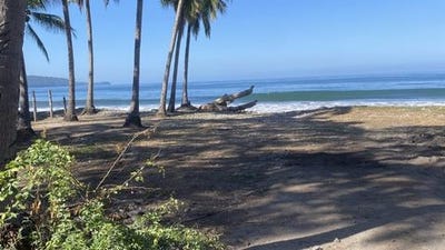 /international/mx/nayarit-nayarit-310108674951/?lang=id