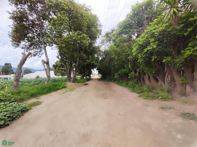 /international/mx/terreno-en-venta-en-chapulco-puebla-chapulco-chapulco-puebla-puebla-310101356869/?lang=zh-tw