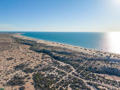 /international/mx/predio-moscobampo-frac-1-playa-paloma-desemboque-sonora-83550-sonora-310108278009/