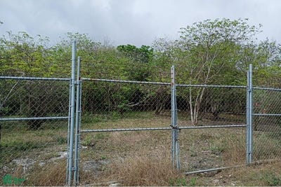 /international/mx/calle-jose-luis-lozano-0-ejido-el-calvario-cadereyta-jimenez-nuevo-leon-cadereyta-jimenez-nuevo-leon-310108431792/