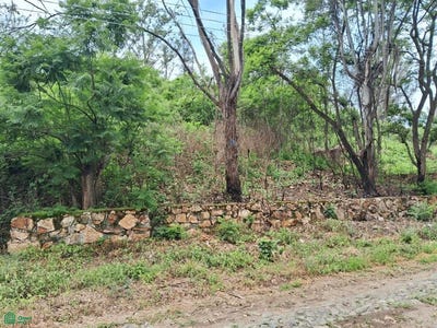 /international/mx/agua-termal-fracc-agua-escondida-lote-69-ixtlahuacan-de-los-membrillos-ixtlahuacan-de-los-membrillos-jalisco-ixtlahuacan-de-los-membrillos-jalisco-310100912413/?lang=en