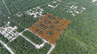 /international/mx/10-av-norte-tulum-quintana-roo-310105209393/