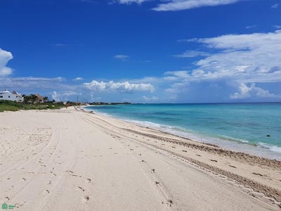 /international/mx/playa-el-secreto-solidaridad-quintana-roo-310107678102/