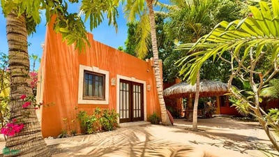 /international/mx/davis-loreto-baja-california-sur-310108309938/