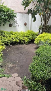 /international/mx/arbusto-52-las-hadas-tlalpan-ciudad-de-mexico-14390-tlalpan-mexico-city-310108272196/